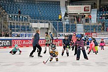 Eishockey, Herren, DEL, Saison 2022-2023, ERC Ingolstadt - Kids On Ice Day, 19.11.2022