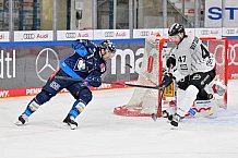 Eishockey, Herren, DEL, Saison 2024-2025, Spieltag 36, ERC Ingolstadt - Kölner Haie, 12.01.2025