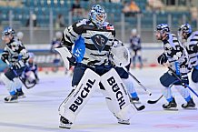 Eishockey, Herren, DEL, Saison 2024-2025, Vorbereitung, ERC Ingolstadt - Dresdner Eislöwen, 18.08.2024