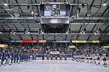 Eishockey, Herren, DEL, Saison 2024-2025, Spieltag 42, ERC Ingolstadt - Kölner Haie, 31.01.2025