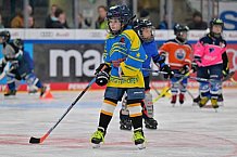 Eishockey, Herren, DEL, Saison 2023-2024, ERC Ingolstadt - Kids on Ice Day, 18.11.2023