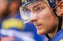 ERC Ingolstadt - Duesseldorfer EG, Eishockey, DEL, Deutsche Eishockey Liga, Spieltag 19, 18.11.2016
