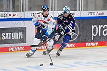 Eishockey, Herren, DEL, Saison 2024-2025, Vorbereitung, ERC Ingolstadt - Dresdner Eislöwen, 18.08.2024