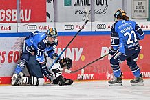 Eishockey, Frauen, DFEL, Saison 2023-2024, ERC Ingolstadt - Amsterdam Tigers, 06.01.2024
