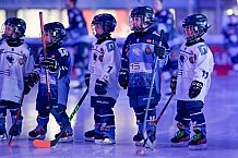 Eishockey, Herren, DEL, Saison 2024-2025, Spieltag 14, ERC Ingolstadt - Löwen Frankfurt, 31.10.2024