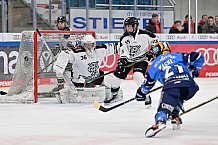 Eishockey, Frauen, DFEL, Saison 2023-2024, ERC Ingolstadt - Amsterdam Tigers, 06.01.2024