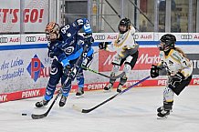 Eishockey, Frauen, DFEL, Saison 2024-2025, ERC Ingolstadt - Mad Dogs Mannheim, 23.11.2024