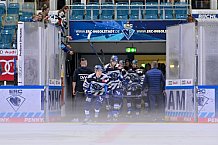Eishockey, Herren, DEL, Saison 2024-2025, Spieltag 2, ERC Ingolstadt - Straubing Tigers, 22.09.2024