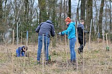 Eishockey, Herren, DEL, Saison 2023-2024, ERC Ingolstadt - Baumpflanzaktion, 02.03.2024