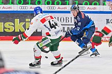 Eishockey, Herren, DEL, Saison 2024-2025, Spieltag 35, ERC Ingolstadt - Augsburger Panther, 10.01.2025