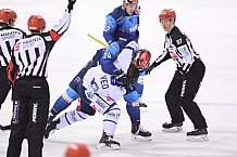 Eishockey, Herren, DEL, Saison 2020-2021, ERC Ingolstadt - Schwenninger Wild Wings, 19.01.2021