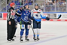 Eishockey, Herren, Gäuboden-Cup 2024, Straubing Tigers - ERC Ingolstadt, 29.08.2024