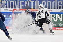 Eishockey, Herren, DEL, Saison 2024-2025, Spieltag 19, ERC Ingolstadt - Grizzlys Wolfsburg, 24.11.2024