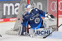 Eishockey, Frauen, DFEL, Saison 2024-2025, ERC Ingolstadt - EC Bergkamener Bären, 12.10.2024