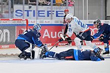 Eishockey, Herren, DEL, Saison 2024-2025, Spieltag 32, ERC Ingolstadt - Adler Mannheim, 30.12.2024
