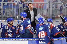 Eishockey, Herren, DEL, Saison 2020-2021, Adler Mannheim - ERC Ingolstadt, 24.01.2021
