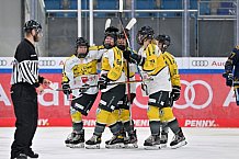 Eishockey, Frauen, DFEL, Saison 2022-2023, ERC Ingolstadt - Mad Dogs Mannheim, 19.11.2022