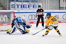 Eishockey, Frauen, DFEL, Saison 2025-2026, Testspiel, ERC Ingolstadt - HC Davos, 14.02.2026