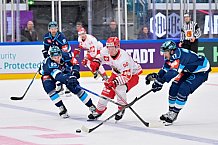 Hockey, Mens, CHL, Season 2025-2026, Regular Season, Game Day 6, ERC Ingolstadt - Odense Bulldogs, 15.10.2025