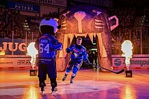Eishockey, Herren, DEL, Saison 2026-2027, Spieltag 8, ERC Ingolstadt - Löwen Frankfurt, 11.10.2026