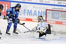 Eishockey, Frauen, DFEL, Saison 2020-2021, ERC Ingolstadt - Mad Dogs Mannheim, 30.01.2021