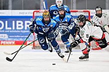 Eishockey, Frauen, DFEL, Saison 2025-2026, ERC Ingolstadt - HK Budapest, 15.11.2025