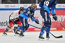Eishockey, Frauen, DFEL, Saison 2024-2025, ERC Ingolstadt - EC Bergkamener Bären, 04.01.2025
