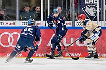 Eishockey, Herren, DEL, Saison 2024-2025, Spieltag 52, ERC Ingolstadt - Schwenninger Wild Wings, 07.03.2025