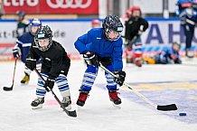 Eishockey, Saison 2025-2026, ERC Ingolstadt - Kids On Ice Day, 29.11.2025