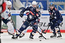 Eishockey, Herren, DEL, Saison 2024-2025, Spieltag 17, ERC Ingolstadt - Adler Mannheim, 17.11.2024