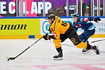 Hockey, Mens, CHL, Season 2025-2026, Regular Season, Game Day 2, ERC Ingolstadt - Kalpa Kuopio, 30.08.2025