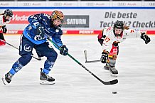 Eishockey, Frauen, DFEL, Saison 2024-2025, ERC Ingolstadt - EC Bergkamener Bären, 04.01.2025