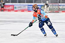 Eishockey, Frauen, DFEL, Saison 2024-2025, ERC Ingolstadt - EC Bergkamener Bären, 05.01.2025