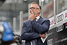 Eishockey, Herren, DEL, Saison 2024-2025, Vorbereitung, ERC Ingolstadt - Dresdner Eislöwen, 18.08.2024