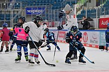 Eishockey, Herren, DEL, Saison 2023-2024, ERC Ingolstadt - Kids on Ice Day, 18.11.2023