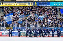 Eishockey, Herren, DEL, Saison 2024-2025, Spieltag 41, ERC Ingolstadt - Eisbären Berlin, 26.02.2025