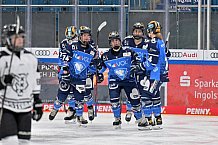 Eishockey, Frauen, DFEL, Saison 2023-2024, ERC Ingolstadt - Amsterdam Tigers, 06.01.2024