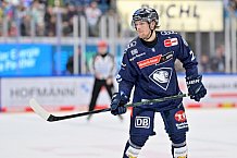 Eishockey, Herren, DEL, Saison 2024-2025, Spieltag 15, ERC Ingolstadt - Augsburger Panther, 03.11.2024