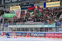 Eishockey, Herren, DEL, Saison 2024-2025, Spieltag 35, ERC Ingolstadt - Augsburger Panther, 10.01.2025