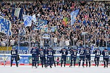 Eishockey, Herren, DEL, Saison 2024-2025, Spieltag 15, ERC Ingolstadt - Augsburger Panther, 03.11.2024