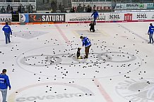ERC Ingolstadt vs Iserlohn Roosters, Eishockey, DEL, Deutsche Eishockey Liga, Spieltag 48, 31.01.2018
