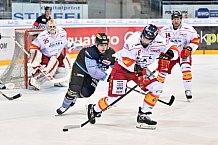 ERC Ingolstadt vs Duesseldorfer EG, Eishockey, DEL, Deutsche Eishockey Liga, Spieltag 50, 21.02.2017