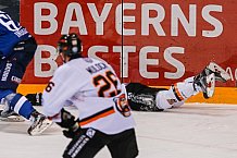 ERC Ingolstadt  - Grizzlys Wolfsburg, Eishockey, DEL, Deutsche Eishockey Liga, Spieltag 37, 13.01.2017