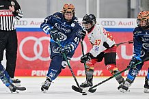 Eishockey, Frauen, DFEL, Saison 2024-2025, ERC Ingolstadt - EC Bergkamener Bären, 12.10.2024
