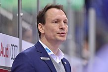 ERC Ingolstadt vs Adler Mannheim, DEL, Deutsche Eishockey Liga, Spieltag 46, 15.02.2019