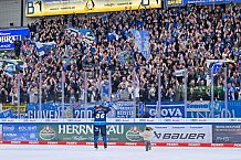 Eishockey, Herren, DEL, Saison 2024-2025, Spieltag 35, ERC Ingolstadt - Augsburger Panther, 10.01.2025