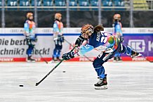 Eishockey, Frauen, DFEL, Vorbereitung, Saison 202-2025, ERC Ingolstadt - St. Pölten, 07.09.2024