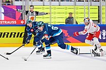 Hockey, Mens, CHL, Season 2025-2026, Regular Season, Round of 16, ERC Ingolstadt - EC Red Bull Salzburg, 12.11.2025
