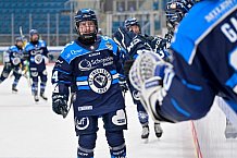 Eishockey, Frauen, DFEL, Saison 2025-2026, Testspiel, ERC Ingolstadt - HC Davos, 14.02.2026