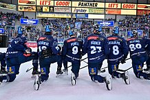 Eishockey, Herren, DEL, Saison 2024-2025, Spieltag 19, ERC Ingolstadt - Grizzlys Wolfsburg, 24.11.2024